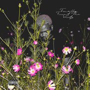 Finally Found The Words cover image cdn