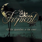 O Te Quedas O Te Vas cover image cdn