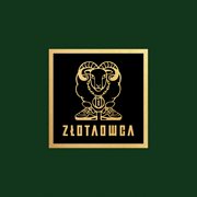 Złota Owca cover image cdn