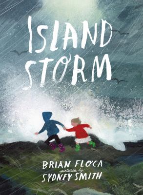 Island storm  cover image cdn
