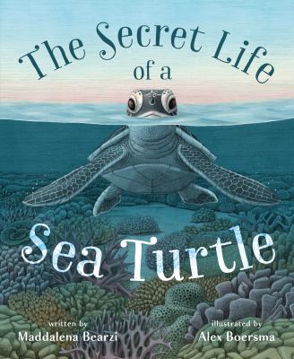 The secret life of a sea turtle  cover image cdn