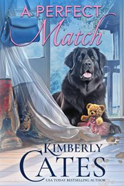A Perfect Match cover image cdn