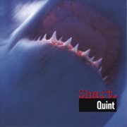 Quint cover image cdn