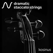 Dramatic Staccato Strings cover image cdn