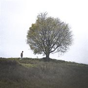 Cicale cover image cdn