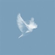 Where We Are cover image cdn