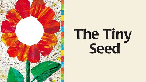 The Tiny Seed cover image cdn