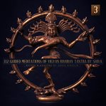 112 Guided Meditations of Vigyan Bhairav Tantra by Shiva (Anapanasati-Vipassana) (Part 3) cover image cdn