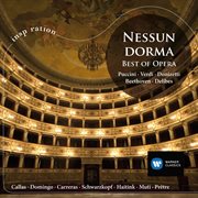Nessun Dorma [Spanish Version] cover image cdn