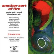 Another Sort Of Fire cover image cdn
