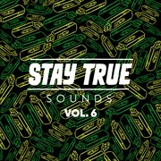 Stay True Sounds Vol.6 cover image cdn