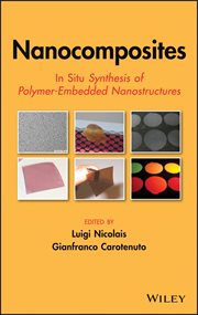 Nanocomposites : In Situ Synthesis of Polymer-Embedded Nanostructures cover image cdn