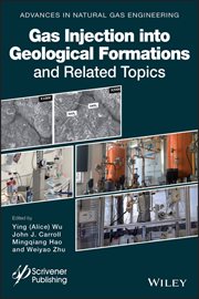 Gas Injection into Geological Formations and Related Topics cover image cdn