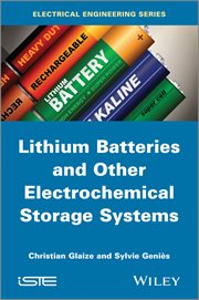 Lithium Batteries and other Electrochemical Storage Systems cover image cdn