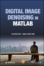 Digital Image Denoising in MATLAB cover image cdn