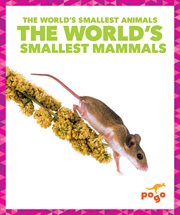 The World's Smallest Mammals cover image cdn