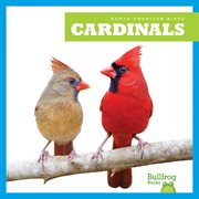 Cardinals cover image cdn