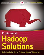 Professional Hadoop Solutions cover image cdn