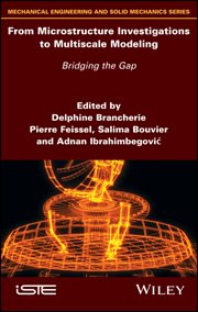 From Microstructure Investigations to Multiscale Modeling : Bridging the Gap cover image cdn