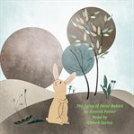 The Tale of Peter Rabbit cover image cdn