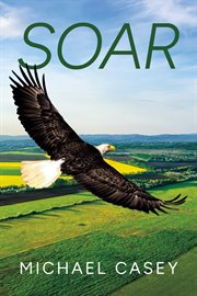 Soar cover image cdn