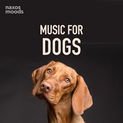 Music For Dogs cover image cdn