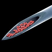 Live Blood cover image cdn