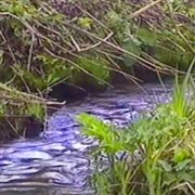 Meditation Tapes cover image cdn