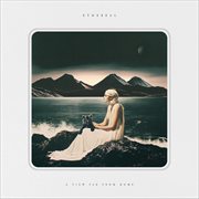 A View Far From Home cover image cdn