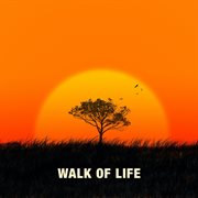 Walk Of Life cover image cdn