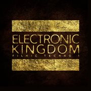 Electronic Kingdom cover image cdn