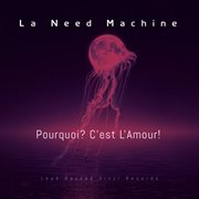 Pourquoi? C'est L'amour! cover image cdn