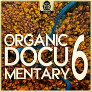 Organic Documentary 6 - Authentic Violin cover image cdn