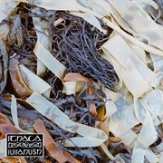 Ithaca cover image cdn