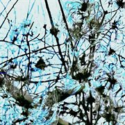 Mikročástice cover image cdn