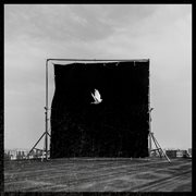 Where Are You Going cover image cdn