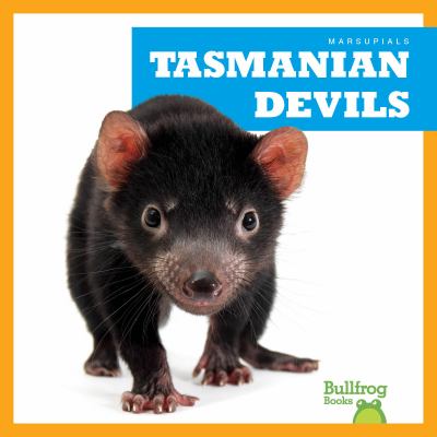 Tasmanian devils  cover image cdn