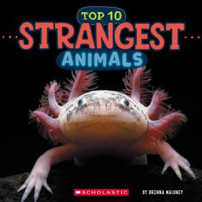 Top 10 strangest animals  cover image cdn