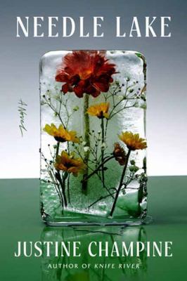 Needle lake  cover image cdn