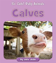 Calves cover image cdn