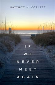 If We Never Meet Again cover image cdn