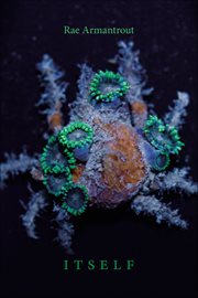 Itself cover image cdn