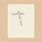 All This Time cover image cdn