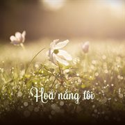 Hoa Nắng Tôi cover image cdn