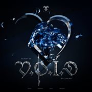 V.O.I.D cover image cdn