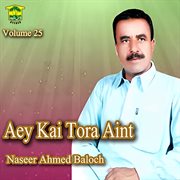 Aey Kai Tora Aint, Vol. 25 cover image cdn