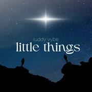 Little Things cover image cdn
