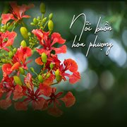 Nỗi Buồn Hoa Phượng cover image cdn