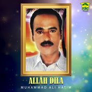 Allah Dila cover image cdn