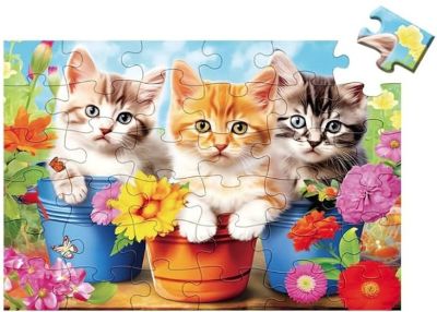 Garden cats cover image cdn